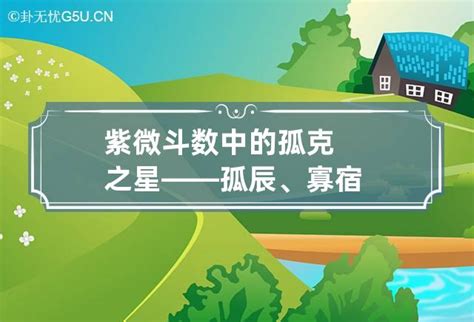 八字寡宿|紫微斗数诸星落命宫之：孤辰、寡宿详解【命理八字实战】